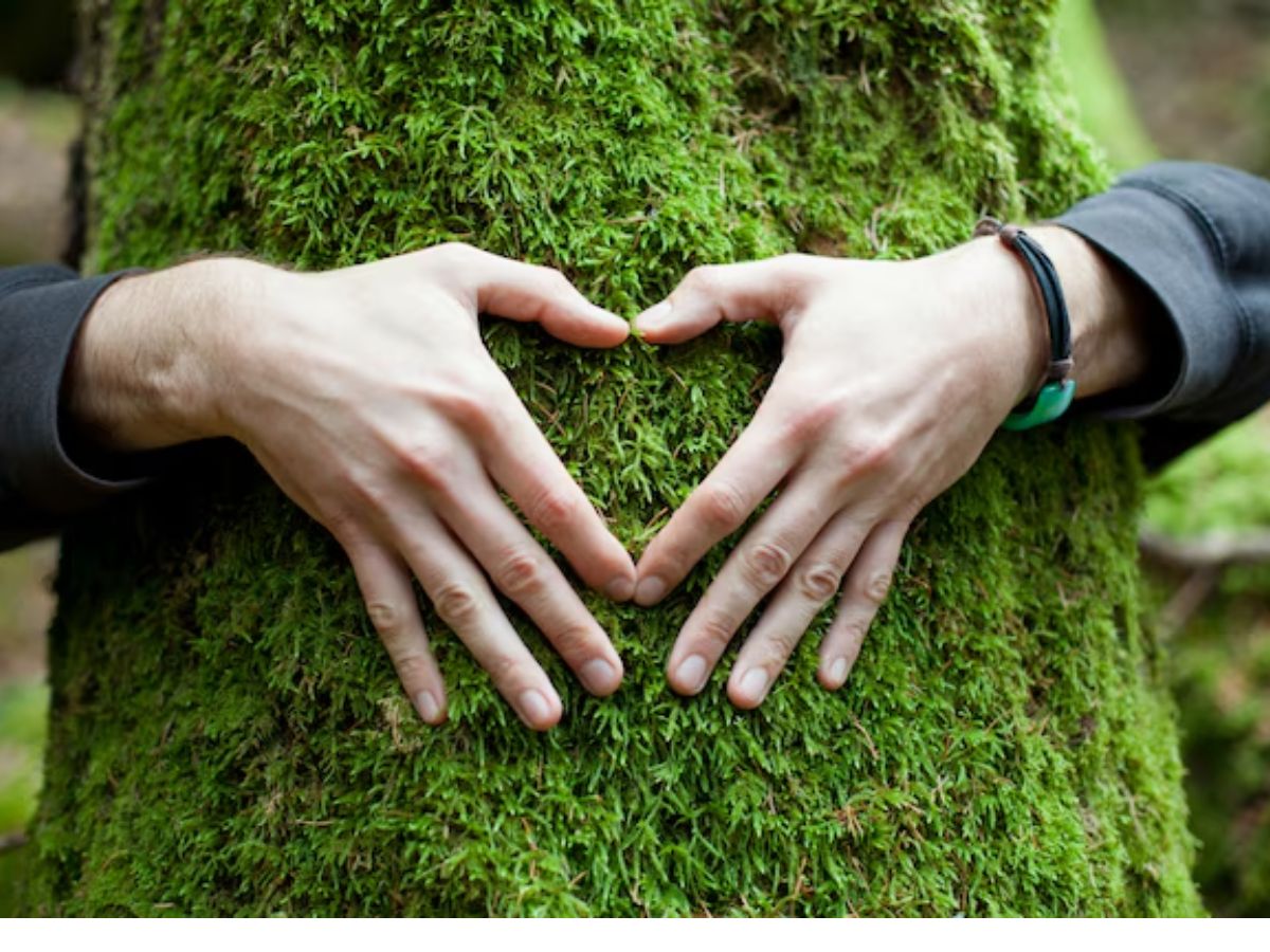 Sawan 2025: इस सावन भूलकर भी ना खाये ये दो चीज़े। जानिये वैज्ञानिक कारण। - Photo Gallery