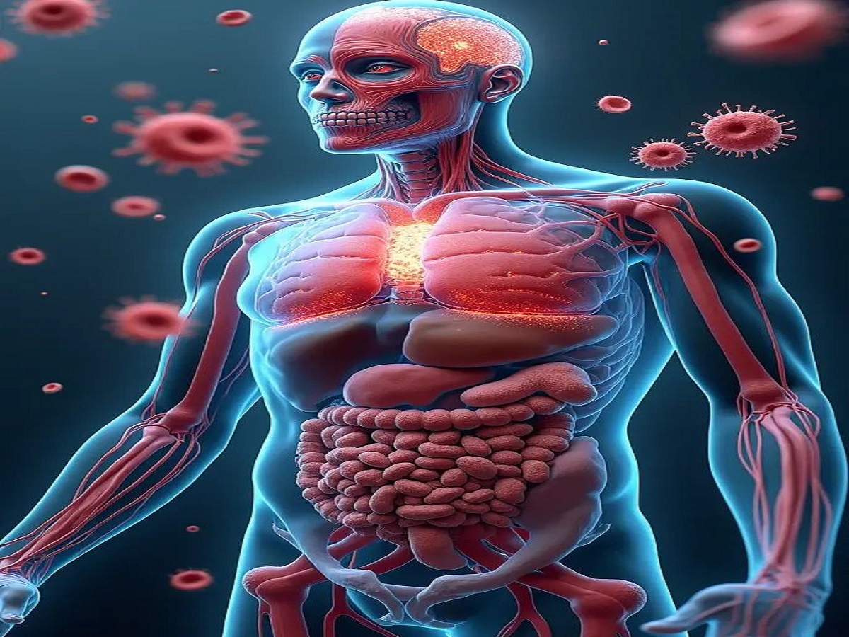 Why is donating fenugreek so beneficial for the body, let’s find out!: मेथी का दाना  शरीर  के लिए क्यों इतना लाभदायक है ,आइए जानते है ! - Photo Gallery