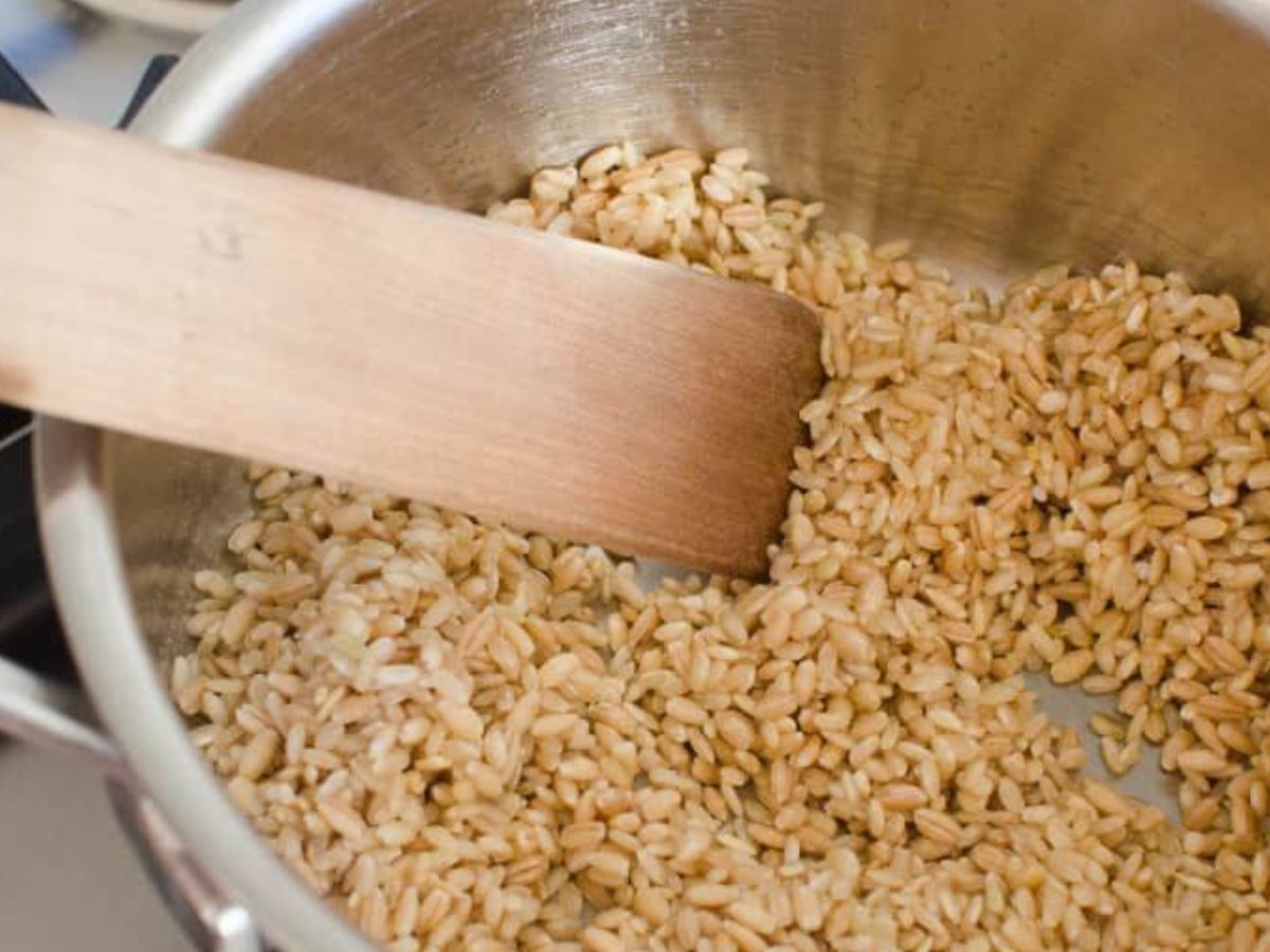 White vs brown rice: जानें सफेद चावल और ब्राउन चावल में से कौन सा चावल रखता है हमारी सेहत का ध्यान - Photo Gallery