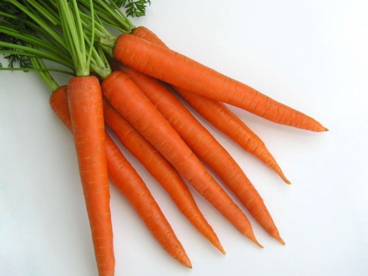 हाई यूरिक एसिड वालों के लिए वरदान साबित हो सकते हैं ये कुछ फूड्स - Photo Gallery