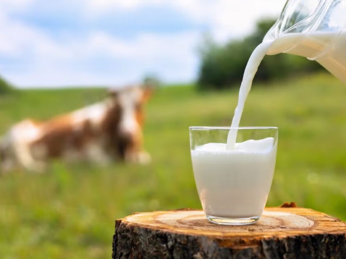 सावधान! दूध के साथ इन चीज़ों का सेवन कर सकता है आपकी सेहत बर्बाद - Photo Gallery