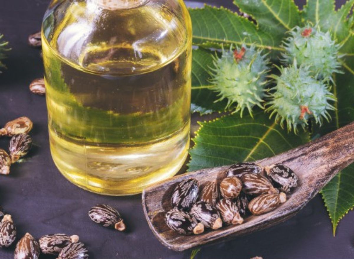 क्या कैस्टर ऑयल से बढ़ती है बालों की लंबाई? जानें 7 बड़े फायदे - Photo Gallery