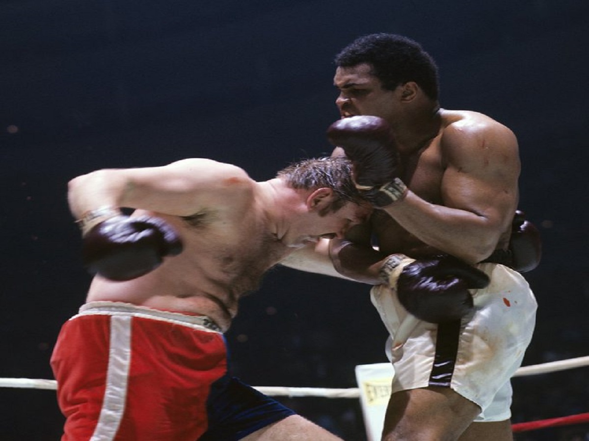 Top Boxing Movies Ever Made: सिनेमा के रिंग में दमदार पंच मारती ये 7 बॉक्सिंग फिल्में - Photo Gallery