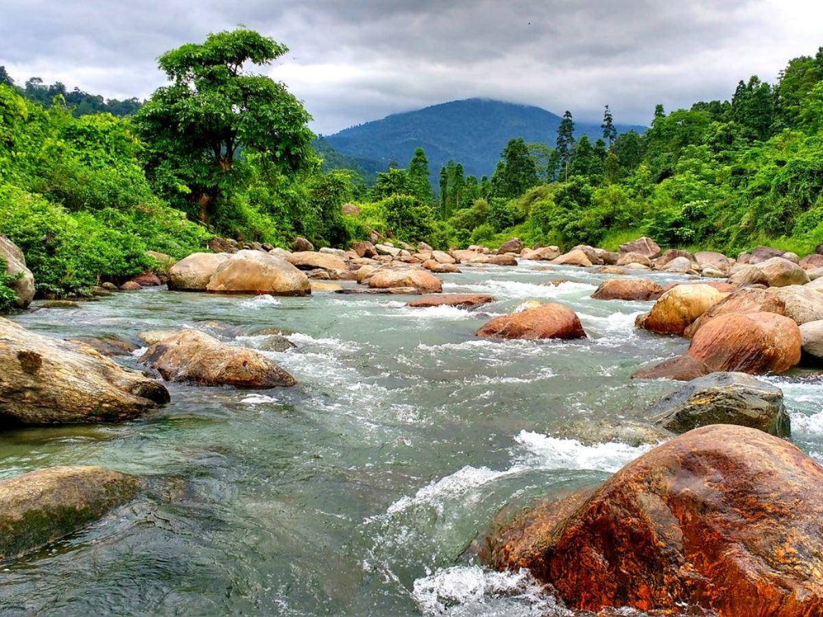 पश्चिम बंगाल की खोज करें: प्रकृति प्रेमियों और संस्कृति प्रेमियों के लिए 7 सर्वश्रेष्ठ पर्यटन स्थल - Photo Gallery