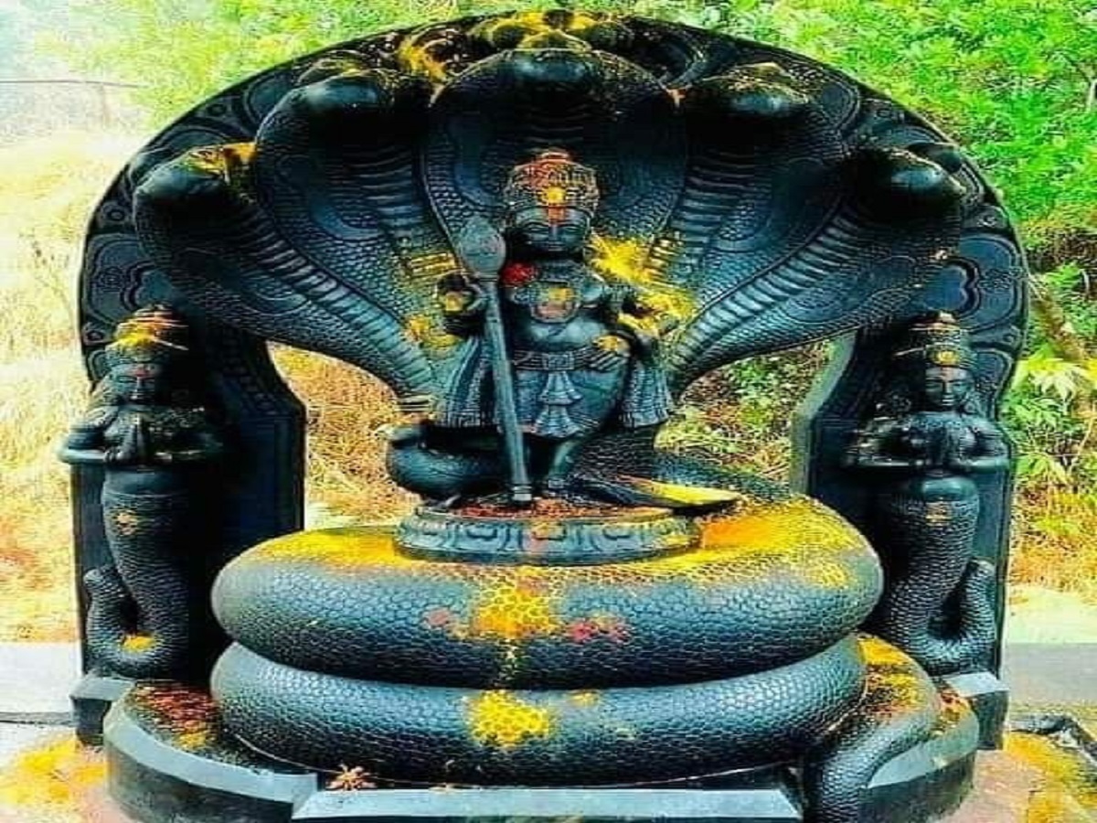 Nag Panchami 2025: नाग देवता को दूध चढ़ाने के पीछे की धार्मिक मान्यता, जो हर किसी को जाननी चाहिए - Photo Gallery