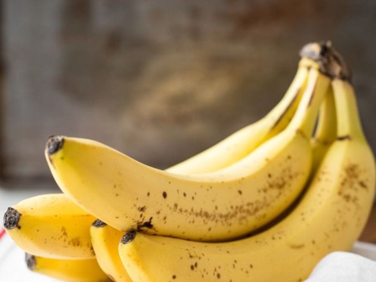 Healthy Gut Foods:  इन 7 फूड का करें सेवन और बनाएं अपने गट को स्वस्थ और बेहतर - Photo Gallery