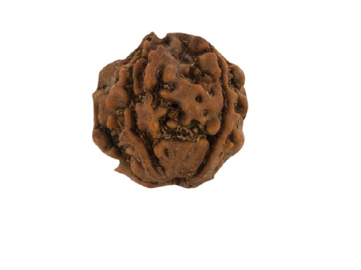 क्या आप भी शनि की साढ़ेसाती से परेशान हैं? जानिए कौन-सा रुद्राक्ष देगा राहत और इसको धारण करने का उपाय - Photo Gallery