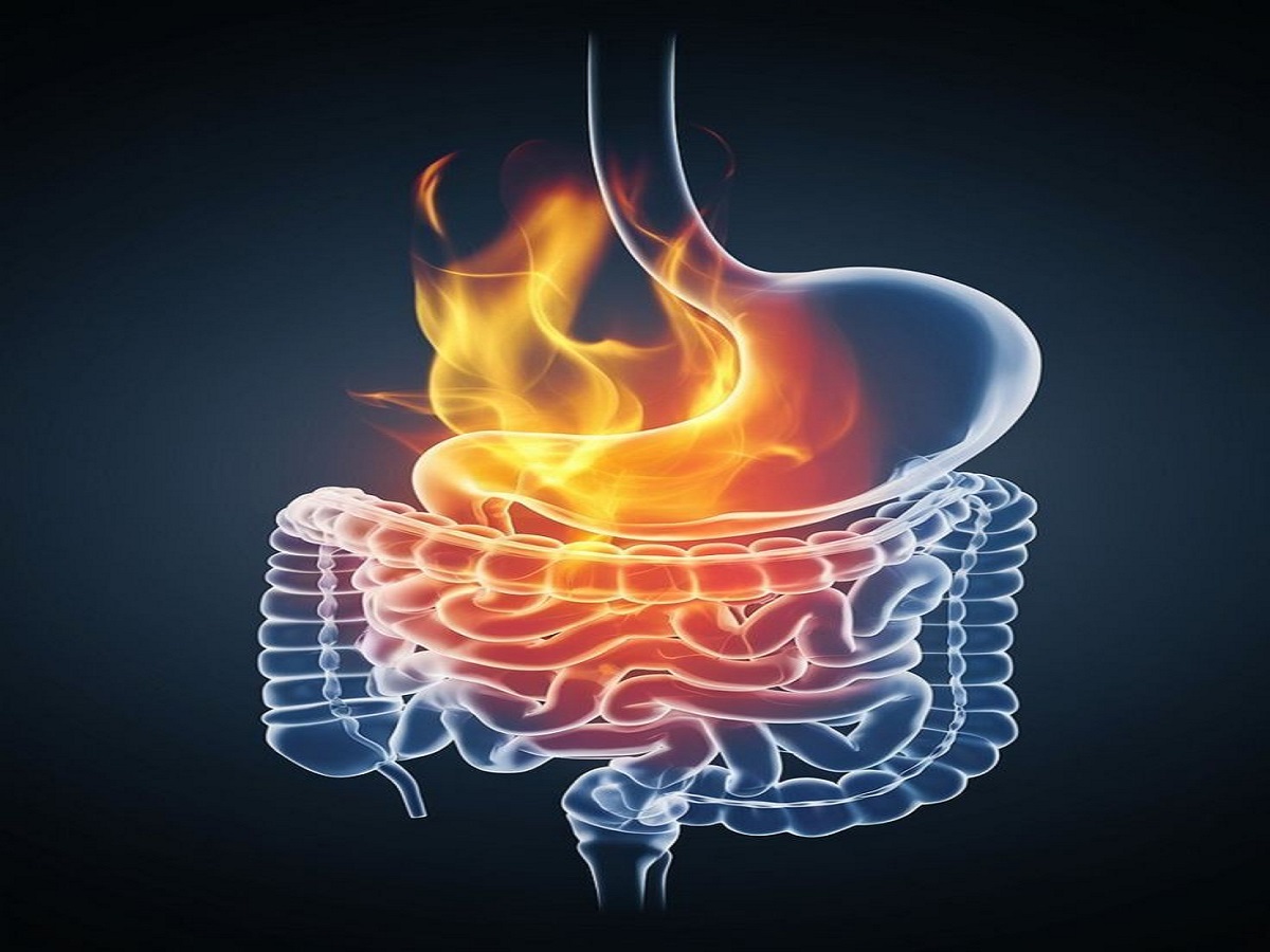 Benefits Of Drinking Water In Morning: जानिए सुबह खाली पेट पानी पीने के कुछ जबरदस्त फायदे - Photo Gallery