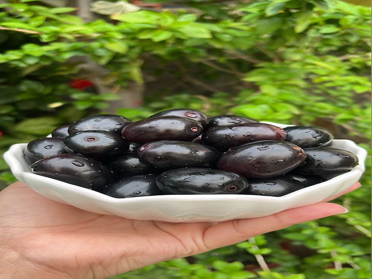 Best Fruits To Eat In Monsoon: मानसून में खाएं ये कुछ खास फल, जो रखेंगें आपको बीमारियों से दूर - Photo Gallery