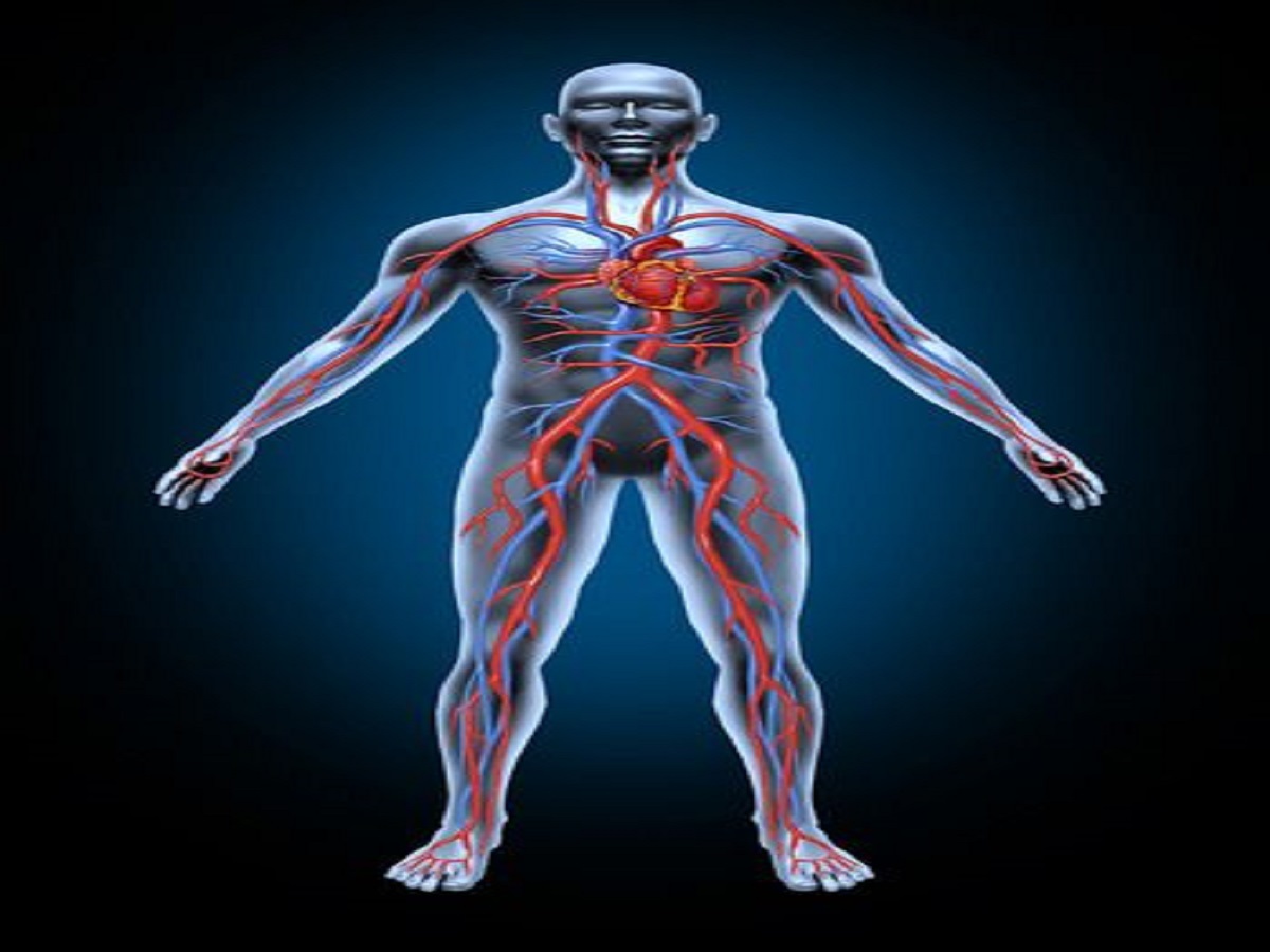 Diabetes: जानिए डायबिटीज के मरीजों का घाव भरने में क्यों लगता है समय? - Photo Gallery