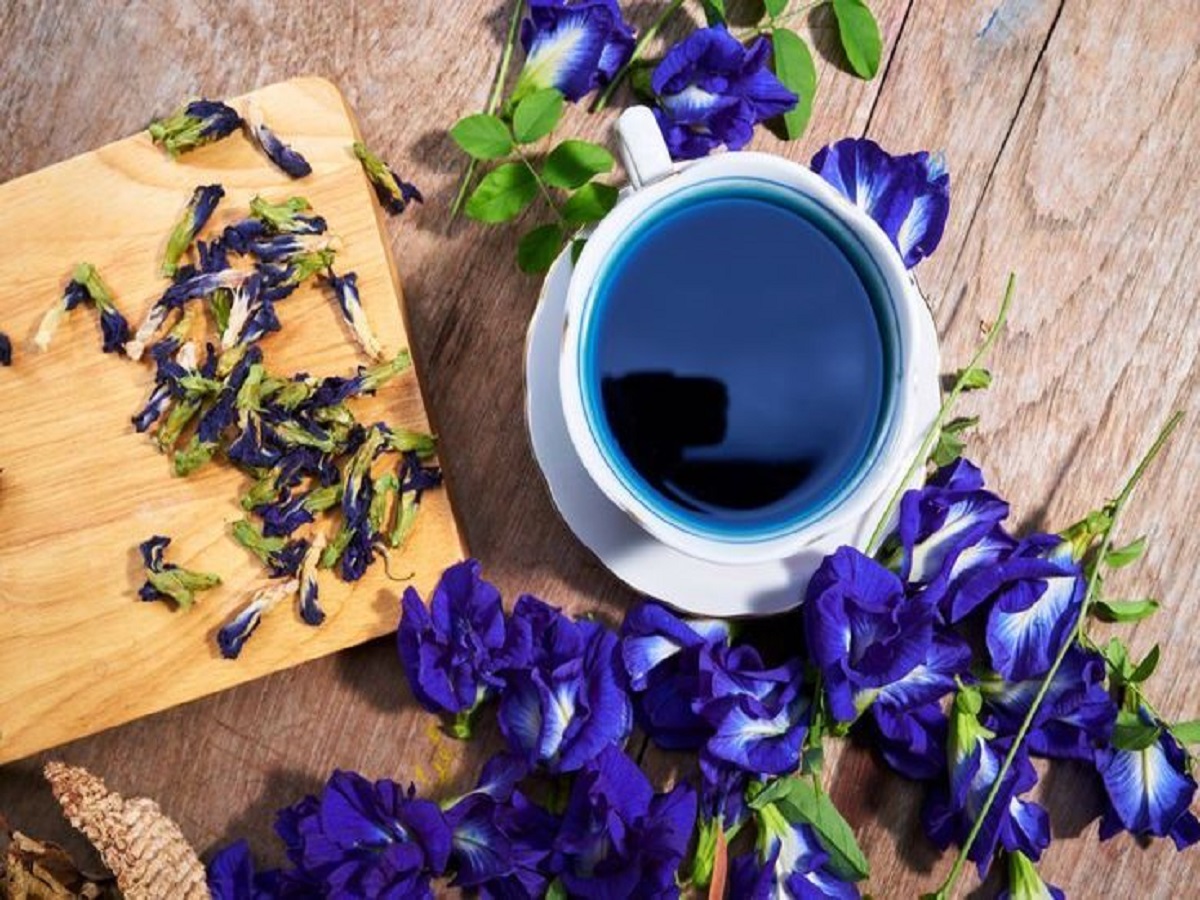 7 Benefits Of Blue Tea:  जानें क्या है ब्लू टी पीने के फायदे हो सकती काफी बीमारियां ठीक - Photo Gallery