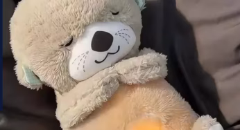 गलती से भी साथ लेकर न सोएं ये वाला गुड्डा! नहीं तो अटक जाएगी आपकी सांस, सोते हुए आती है ऐसी आवाज, जानकर निकल जाएगी चीख