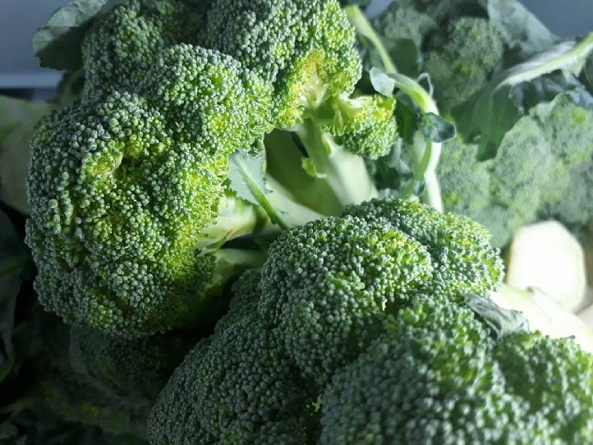 7 Benefits of Broccoli: रोजाना खाएं ब्रोकली होगा आपका भी दिल मजबूत और ब्लड प्रेशर कंट्रोल - Photo Gallery