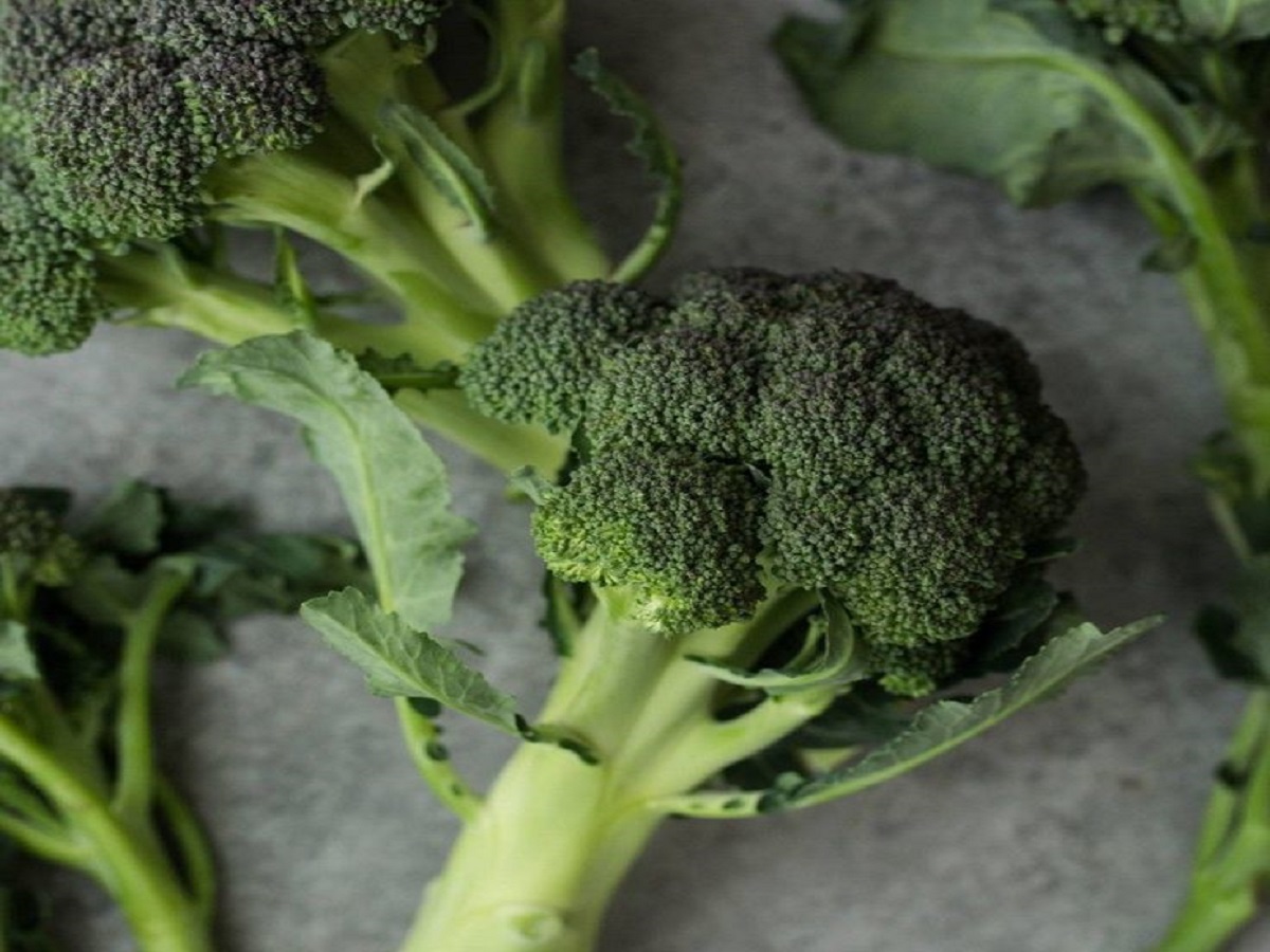 क्या आपको भी फैटी लिवर की समस्या है? तो आज ही शुरू करें यह जादुई ड्रिंक! - Photo Gallery