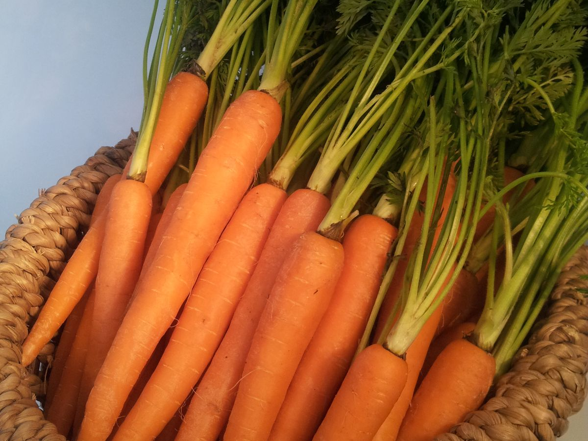 अगर आपके पास भी नहीं है फ्रिज तो अपनाएं ये कुछ खास नुस्खे - Photo Gallery