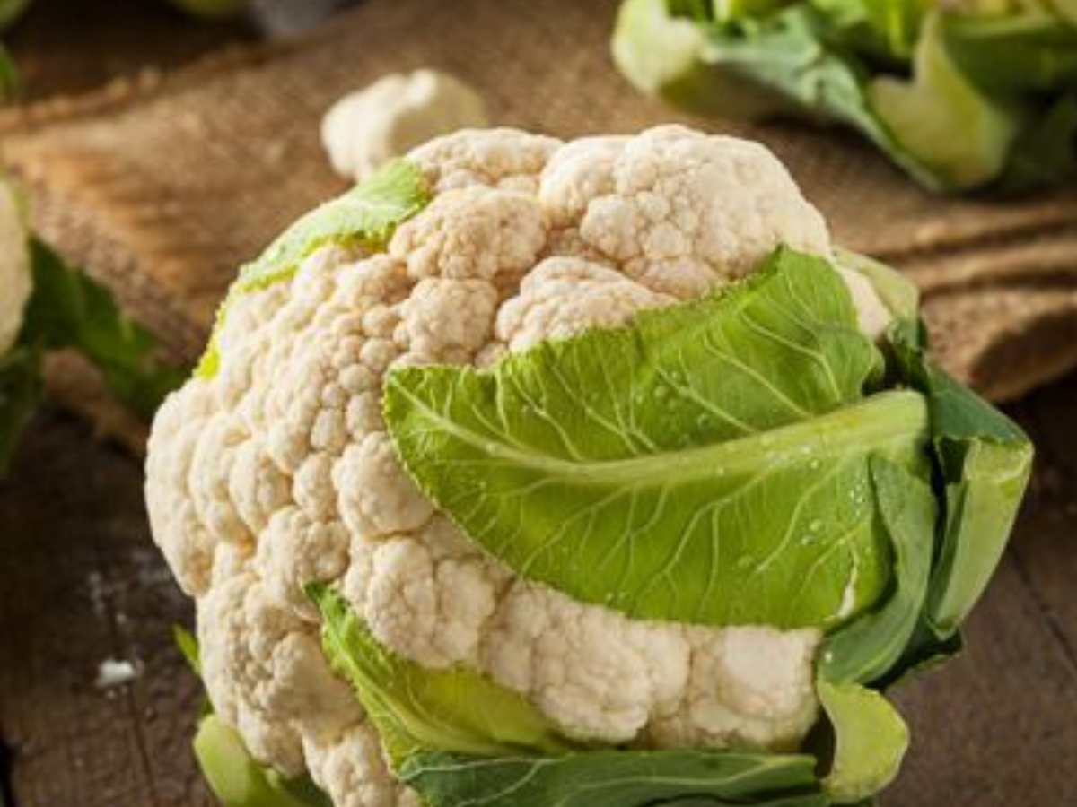 अगर आपके पास भी नहीं है फ्रिज तो अपनाएं ये कुछ खास नुस्खे - Photo Gallery