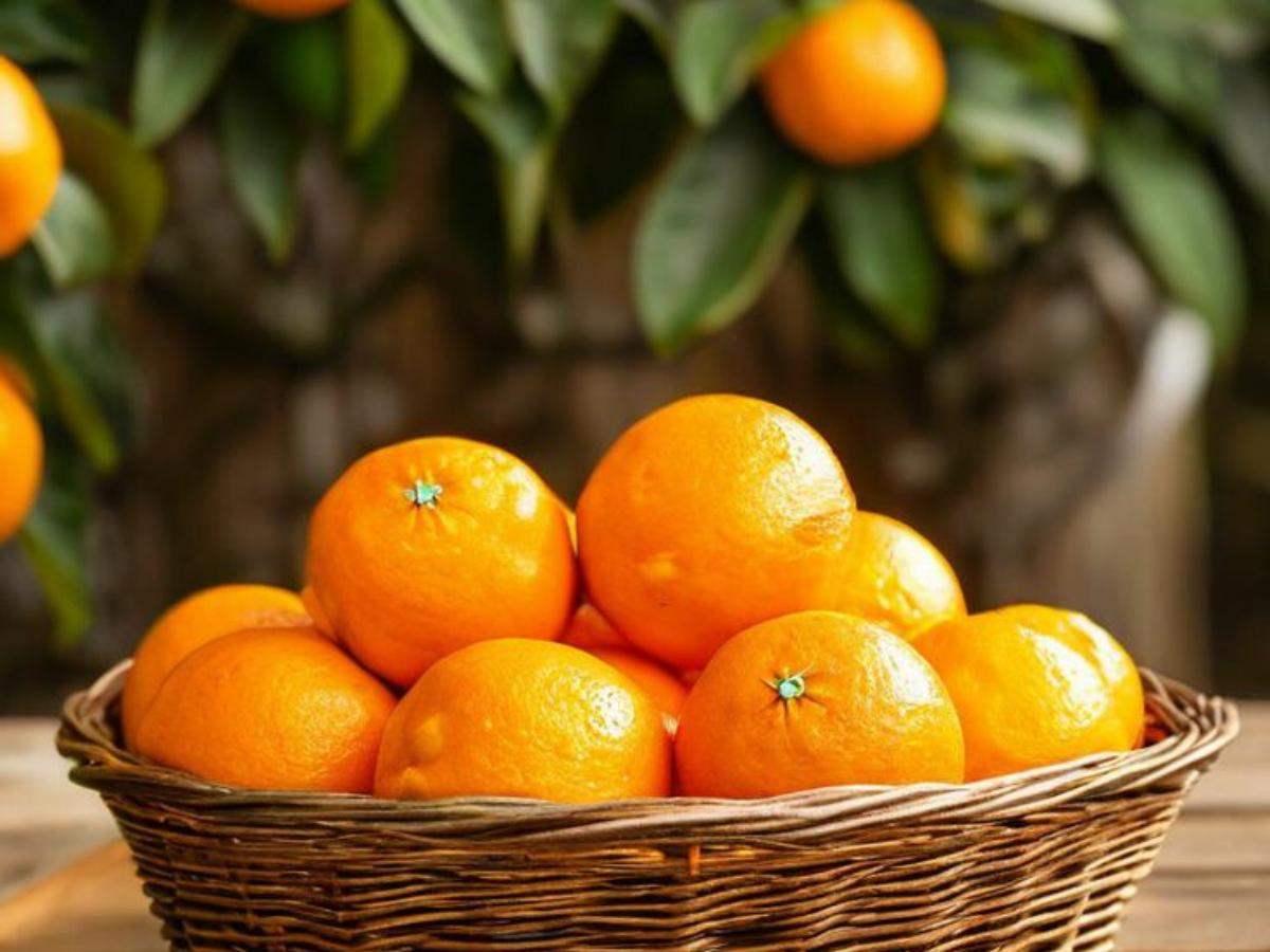 रात को भूल कर भी ना खाए ये खाना नहीं तो हो सकती है आपको भी परेशानी - Photo Gallery