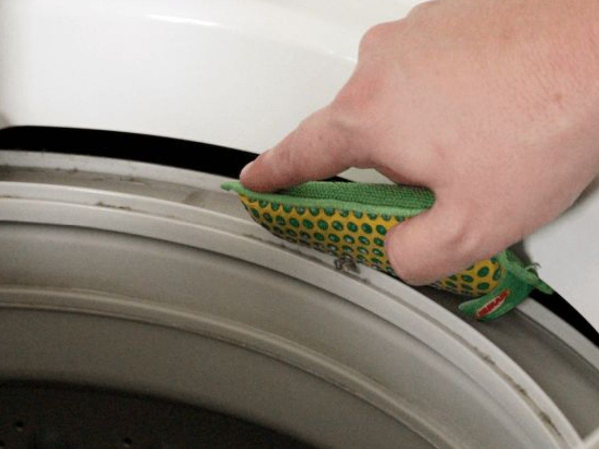 Monsoon Tips: मानसून में रखें अपने घर की साफ सफाई का रखें खास ध्यान नहीं तो पहुंच सकता है आपको नुकसान - Photo Gallery