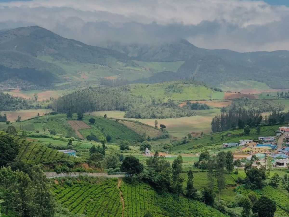 अगर आप भी है चाय या कॉफी के दीवाने तो जरूर जाए इन कुछ शानदार जगाहों पर - Photo Gallery