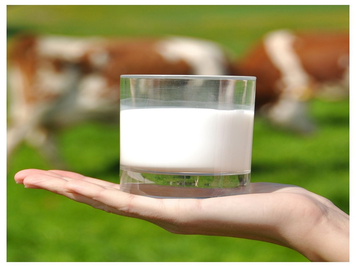 Nag Panchami 2025: नाग देवता को दूध चढ़ाने के पीछे की धार्मिक मान्यता, जो हर किसी को जाननी चाहिए - Photo Gallery