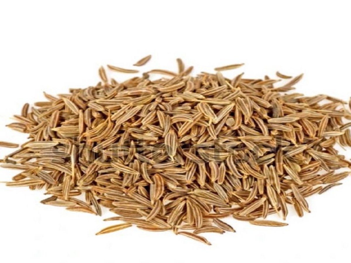 Traditional Indian Spices: कुछ पारंपरिक भारतीय मसाले जो आपको अपनी डाइट में जरूर शामिल करने चाहिए - Photo Gallery