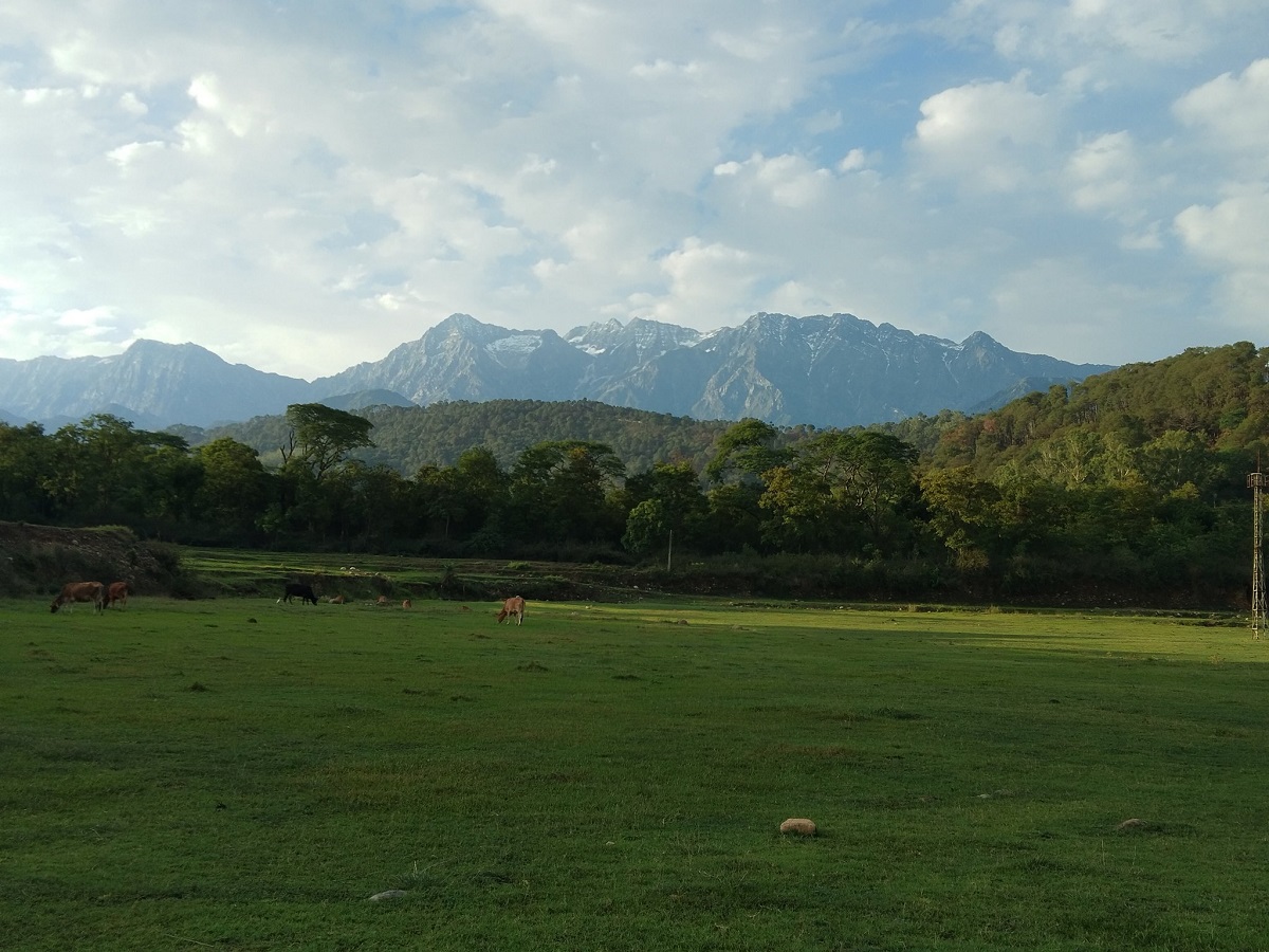 Hidden Hill Getaways In Himachal: मानसून में और भी खूबसूरत हो उठते हैं हिमाचल के ये छुपे हुए हिल स्टेशन - Photo Gallery