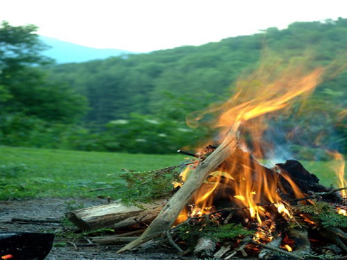 Nag Panchami 2025: आज भी नहीं बनती नाग पंचमी के दिन रोटी, जानिए क्या है लोक परंपरा - Photo Gallery