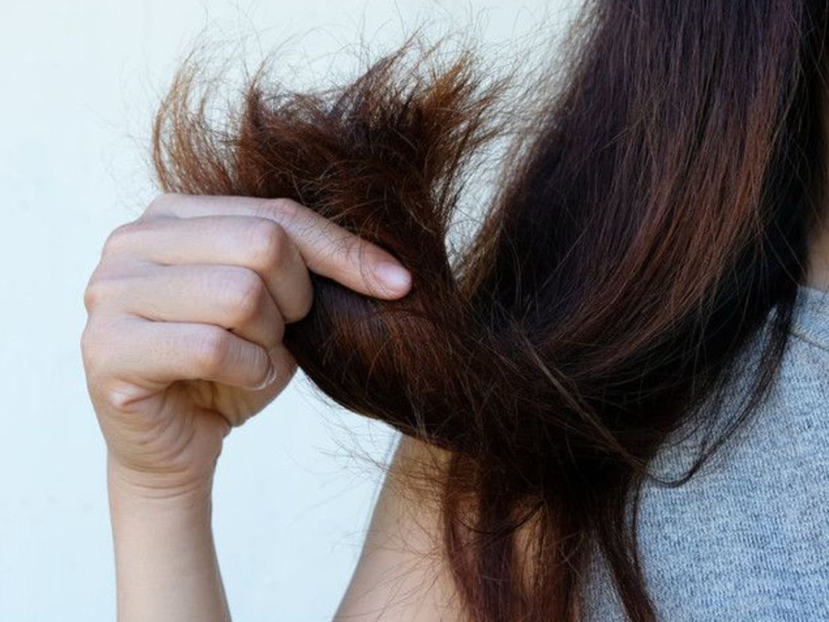 कहीं आप भी तो नहीं कर रहे बालों से रिलेटेड ये गलतियाँ? दे सकती है आपको काफी हद तक नुकसान - Photo Gallery
