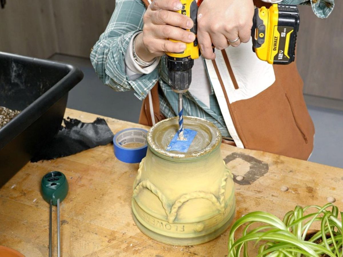 Gardening Tips During Monsoon: इस मानसून आप भी रखें अपने पौधों का कुछ इस तरह ख्याल - Photo Gallery