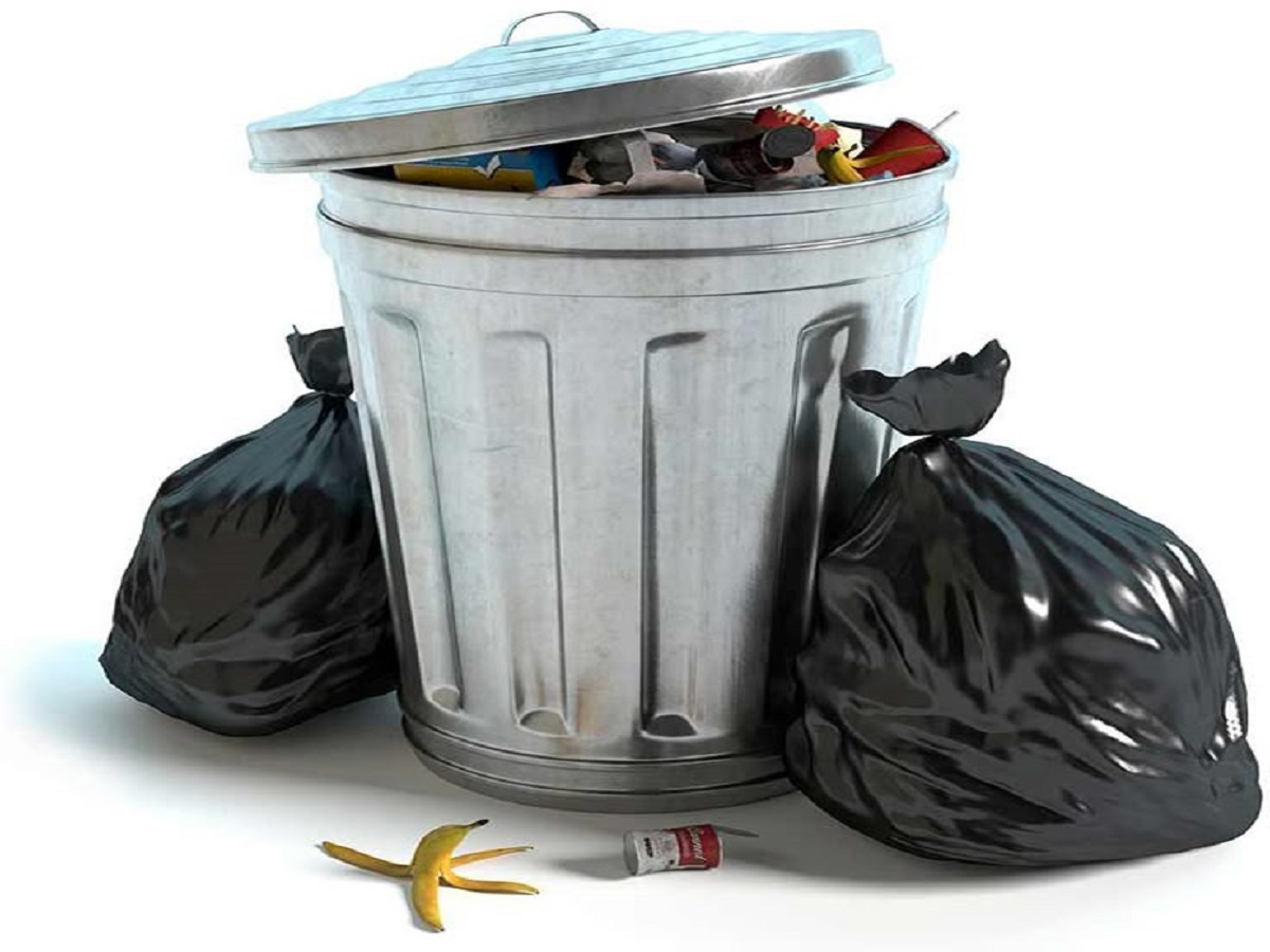 Dengue Safety Tips: डेंगू से बचना है आसान, बस अपनाएं ये कुछ समाधान आप भी रहेंगे सुरक्षित - Photo Gallery