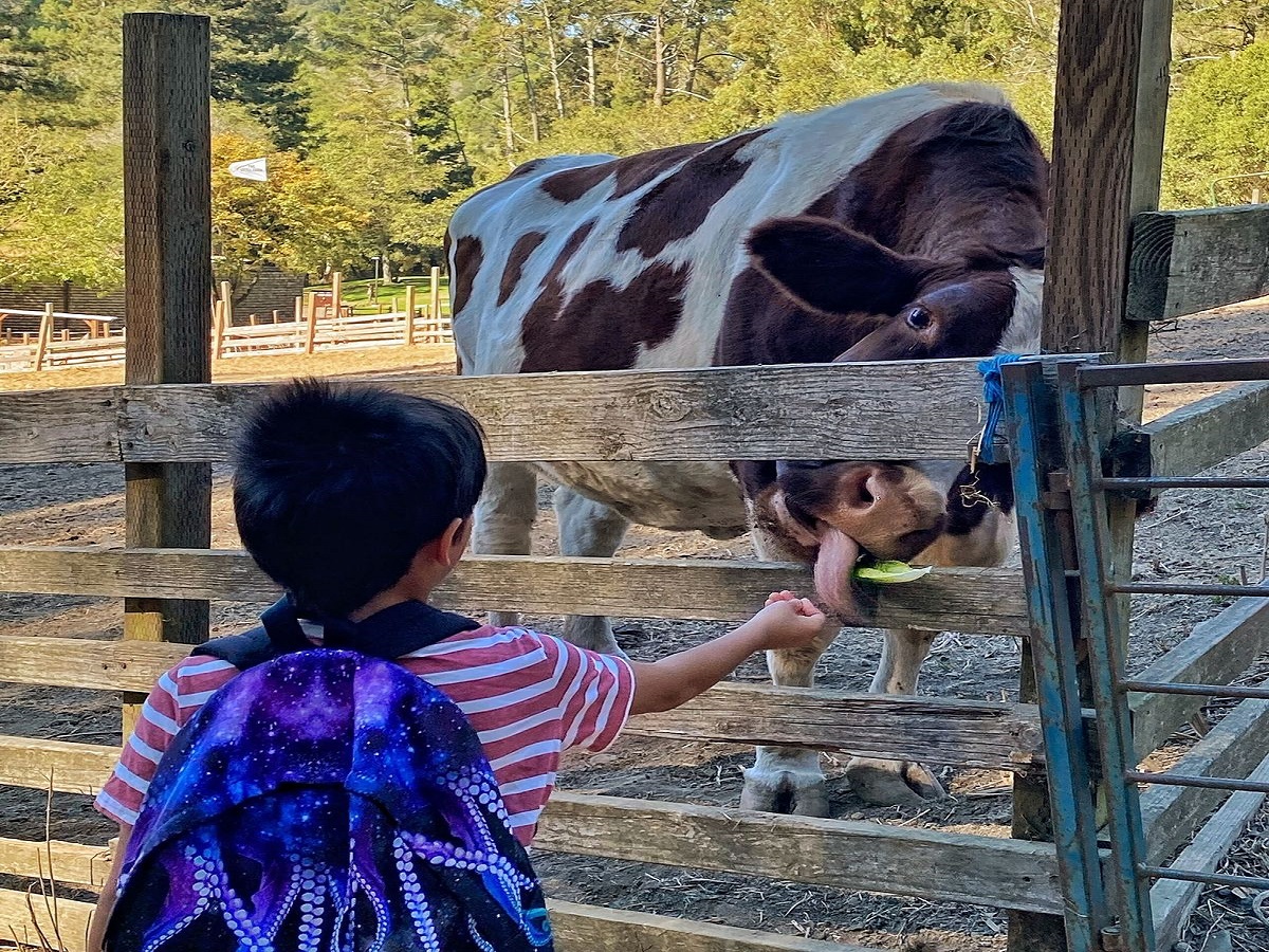 Vastu Tips: सुबह उठते ही करें ये 5 काम, लक्ष्मी जी की कृपा से कभी नहीं होगी धन की कमी - Photo Gallery