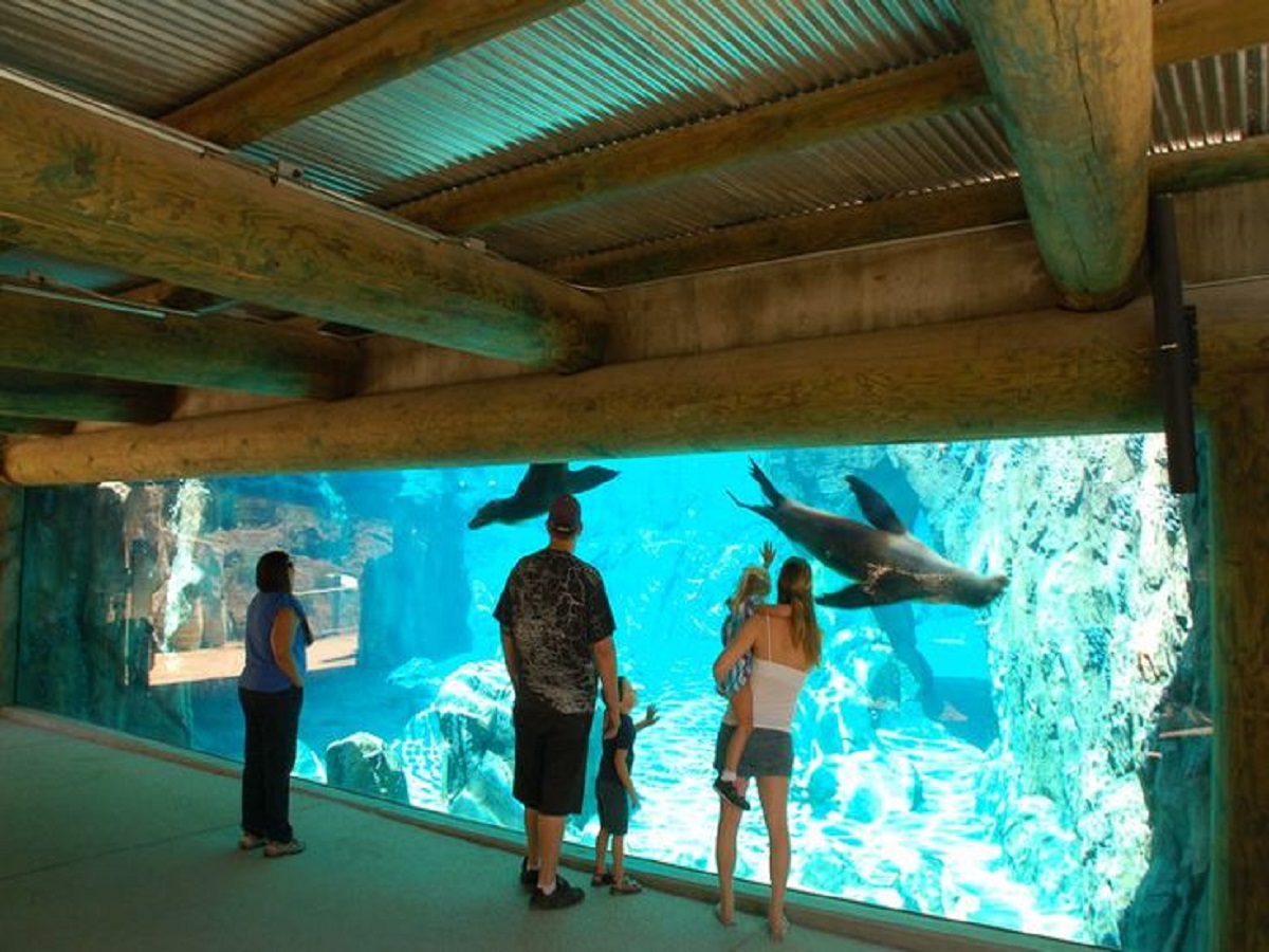 The World’s Most Famous Zoos: दुनिया के सबसे प्रसिद्ध चिड़ियाघर जहा वन्यजीवन से होती है नजदीकी मुलाकात - Photo Gallery