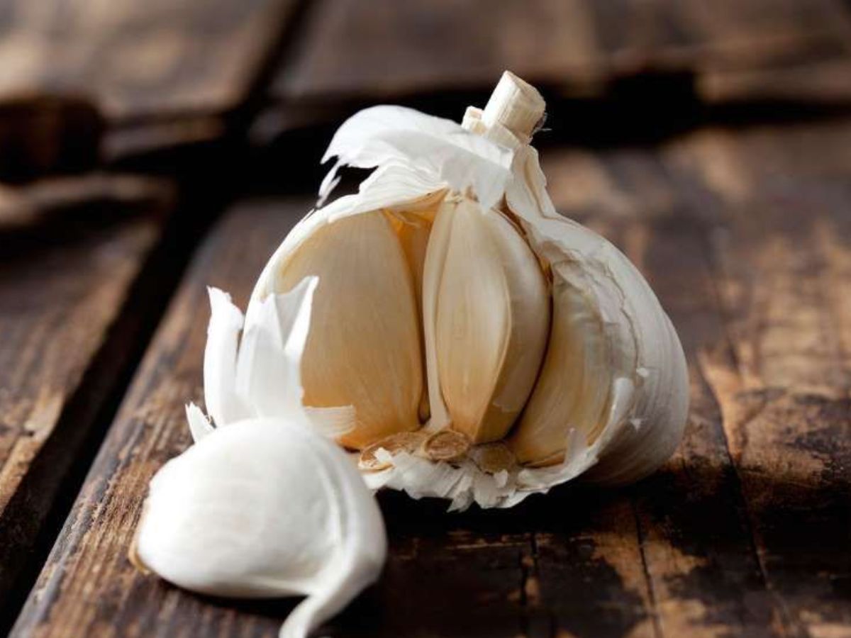 7 Food Items You Should Not Refrigerate: अगर आप भी अपने फ्रिज में रखते है इन सब चीजों को तो हो जाइए सावधान - Photo Gallery