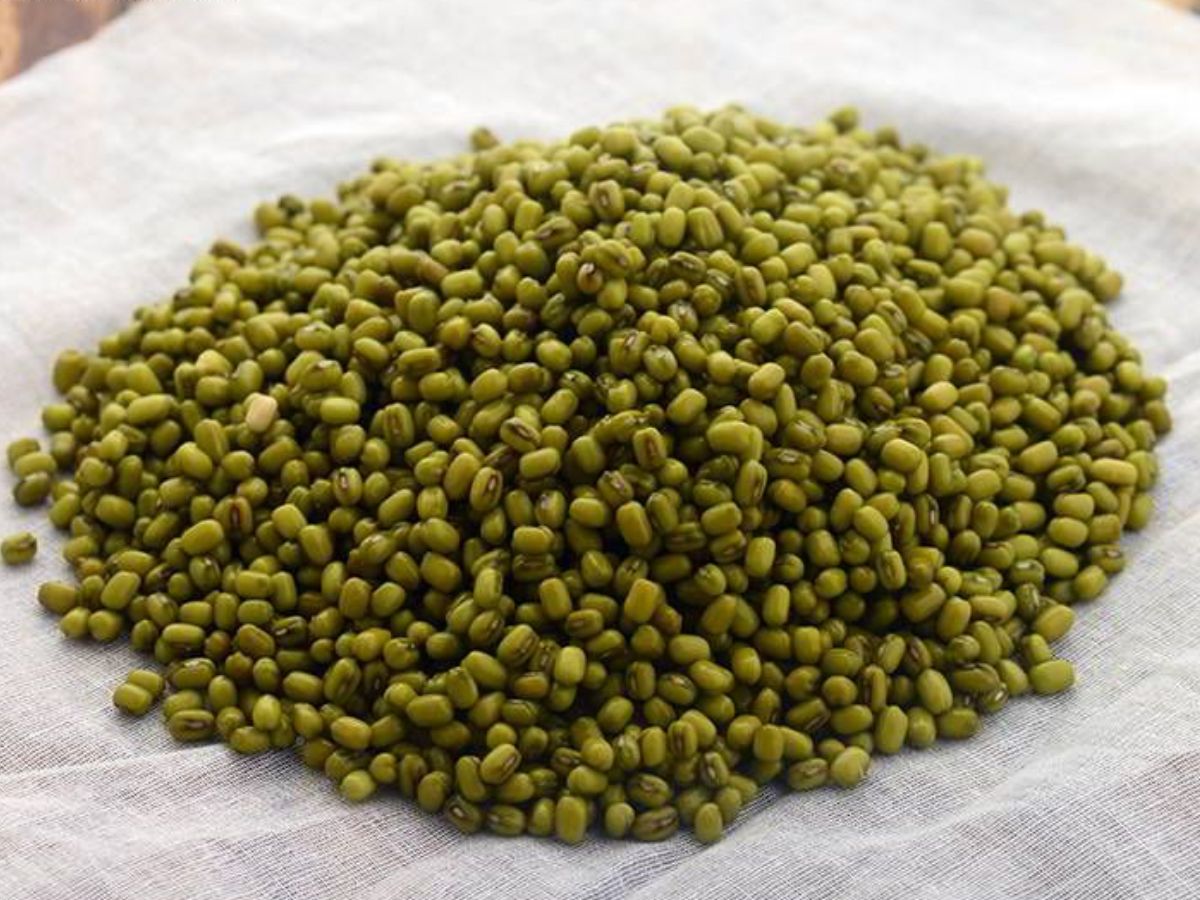 Moong For Weightloss: मूंग दाल को अपनी डाइट में शामिल करें और अपने मोटापे से पाएं छुटकारा - Photo Gallery