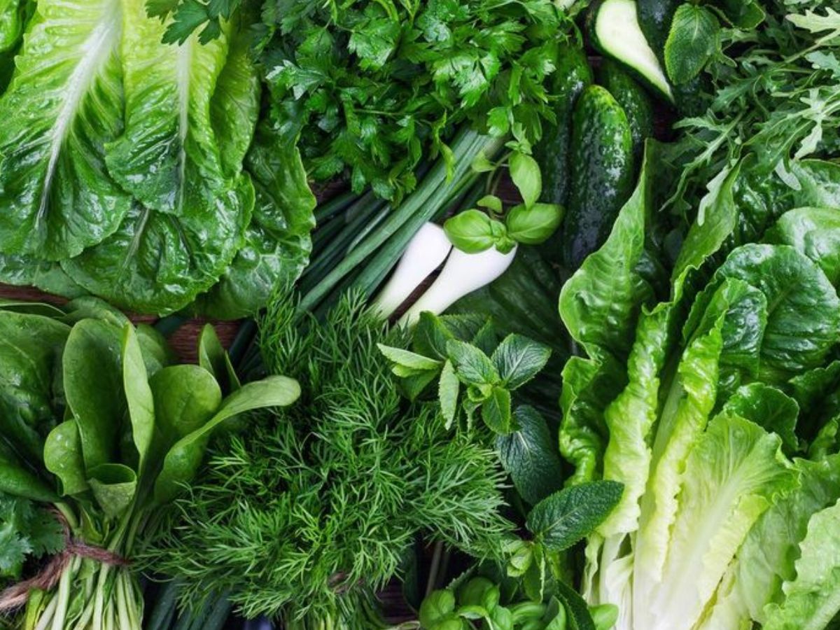 Healthy Gut Foods:  इन 7 फूड का करें सेवन और बनाएं अपने गट को स्वस्थ और बेहतर - Photo Gallery