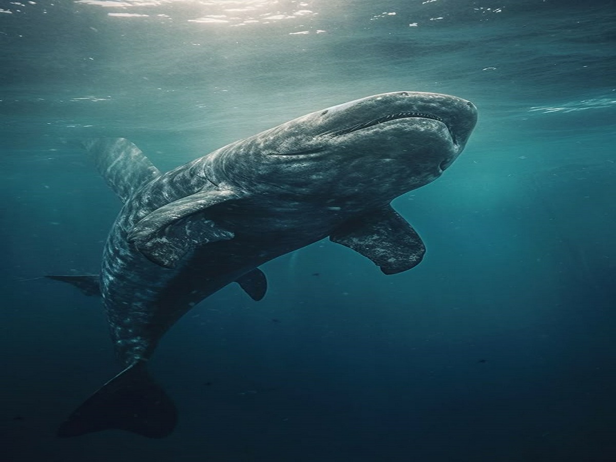 Rarest Animals In The World: जानिए दुनिया के सबसे दुर्लभ जानवरों के बारे में जो है विलुप्ति के कगार पर - Photo Gallery