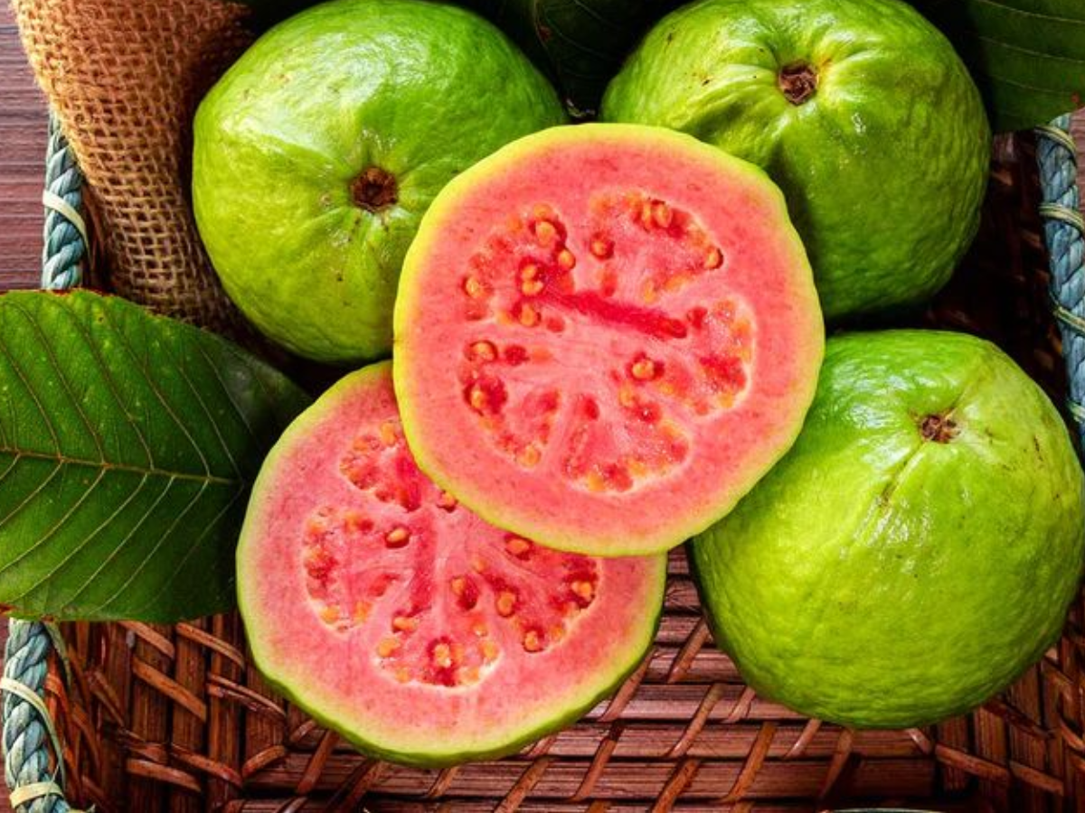 Top 7 fiber fruits: टॉप 7 फल जिसमें आपको मिलेगा फाइबर का भंडार और जो आपके शरीर को बनाएगा एकदम - Photo Gallery