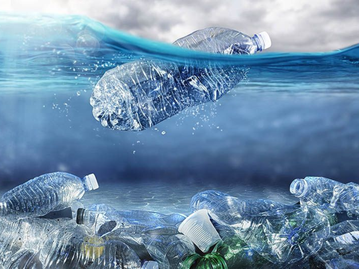 Disadvantage Of Paper Cup:  आज ही हो जाइए सावधान, नहीं तो पेपर कप में कुछ पीने से आपको भी हो सकती है ये गंभीर बीमारीयां - Photo Gallery