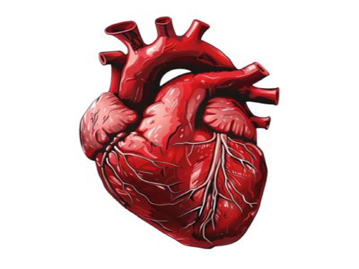 Cumin Water Health Benefits: सुबह-सुबह पीएं जीरा पानी, सेहत को मिलेंगे ये जबरदस्त फायदे - Photo Gallery