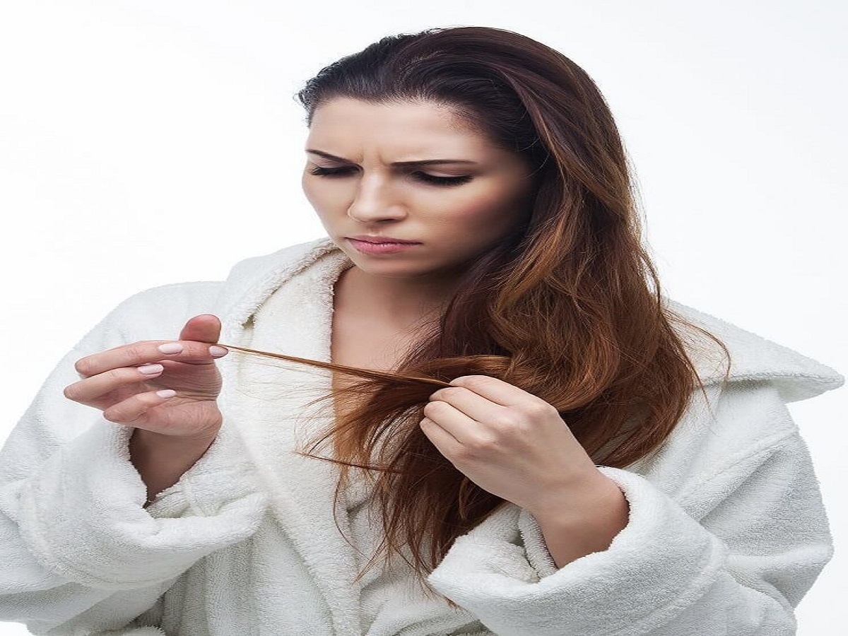 Benefits of Tofu and Paneer : जाने पनीर और टोफू के कुछ मजेदार फायदे, जो हमारे शरीर को मजबूत करने में  करेगा मदद - Photo Gallery