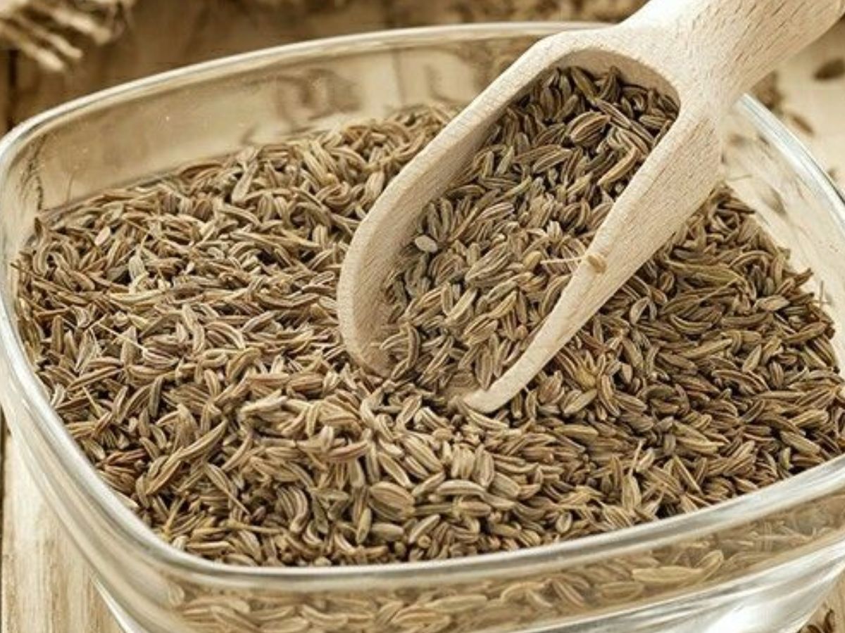 7 Ideas To Lose Weight Naturally: बिना जिम जाए रसोई में मिलने वाले इन कुछ मसालों से आप भी अपना वजन घटायें - Photo Gallery