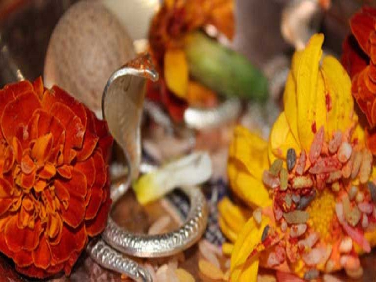 क्या आपके भी सपने में आते हैं डरावने दृश्य? जानिए कुंडली के कालसर्प दोष और इसकी ज्योतिषी वजह के बारे में - Photo Gallery