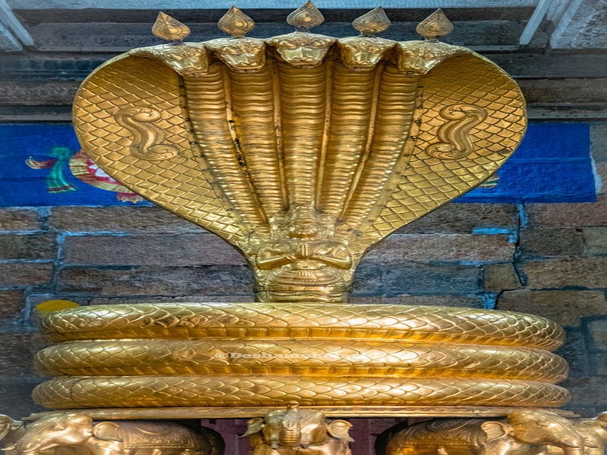 Nag Panchami 2025: नाग देवता को दूध चढ़ाने के पीछे की धार्मिक मान्यता, जो हर किसी को जाननी चाहिए - Photo Gallery