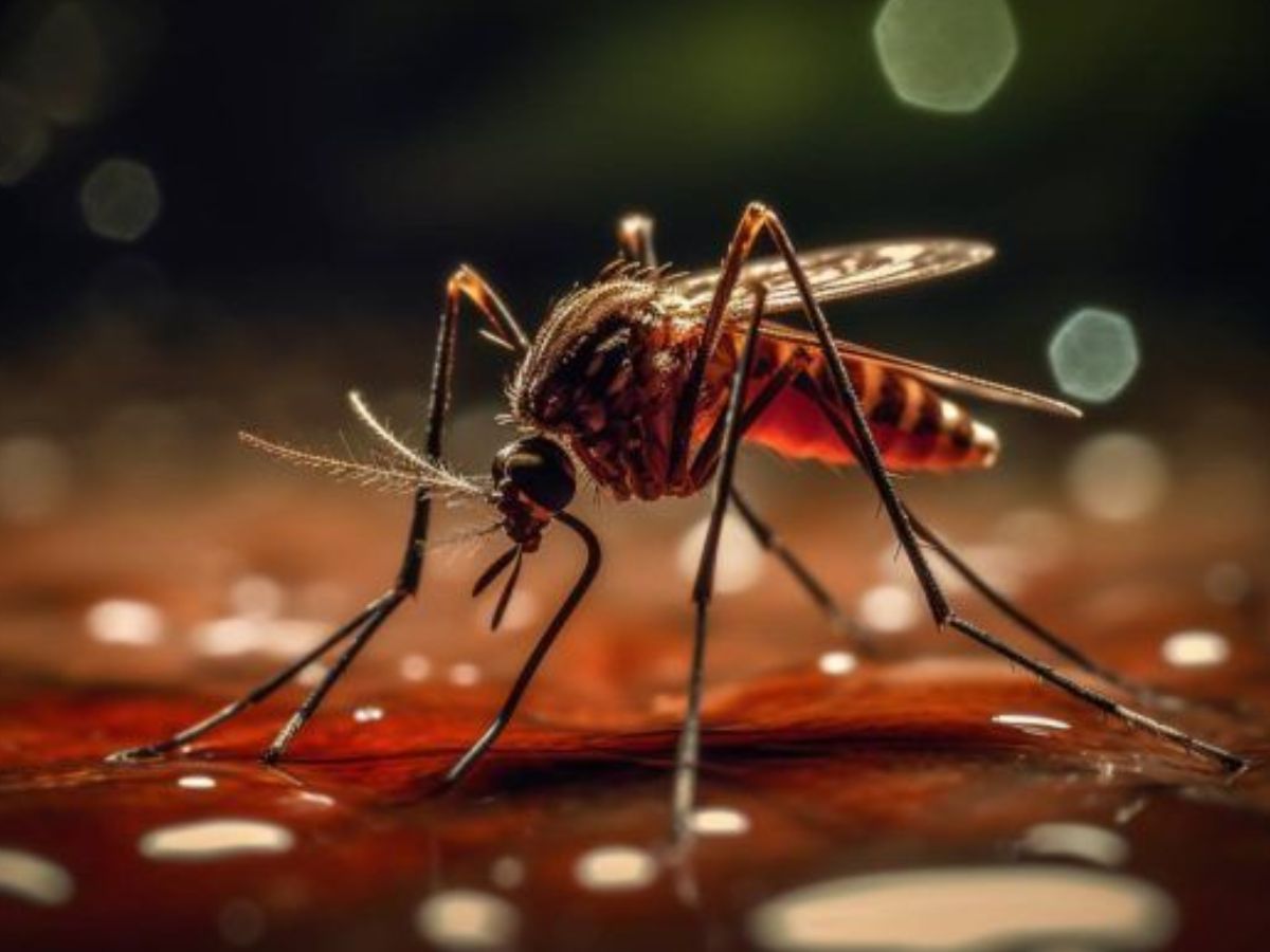 Benefits Of Coriander: आप भी अपने घर में धनिया उगाएं और उससे मिलने वाले लाभ का आंनद उठायें - Photo Gallery