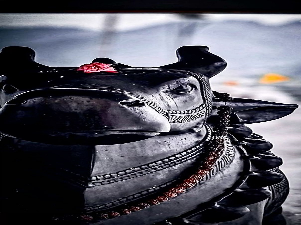 क्या नंदी के कान में बोलने से सच में पूरी होती है हर इच्छा? जानिए धार्मिक रहस्य - Photo Gallery