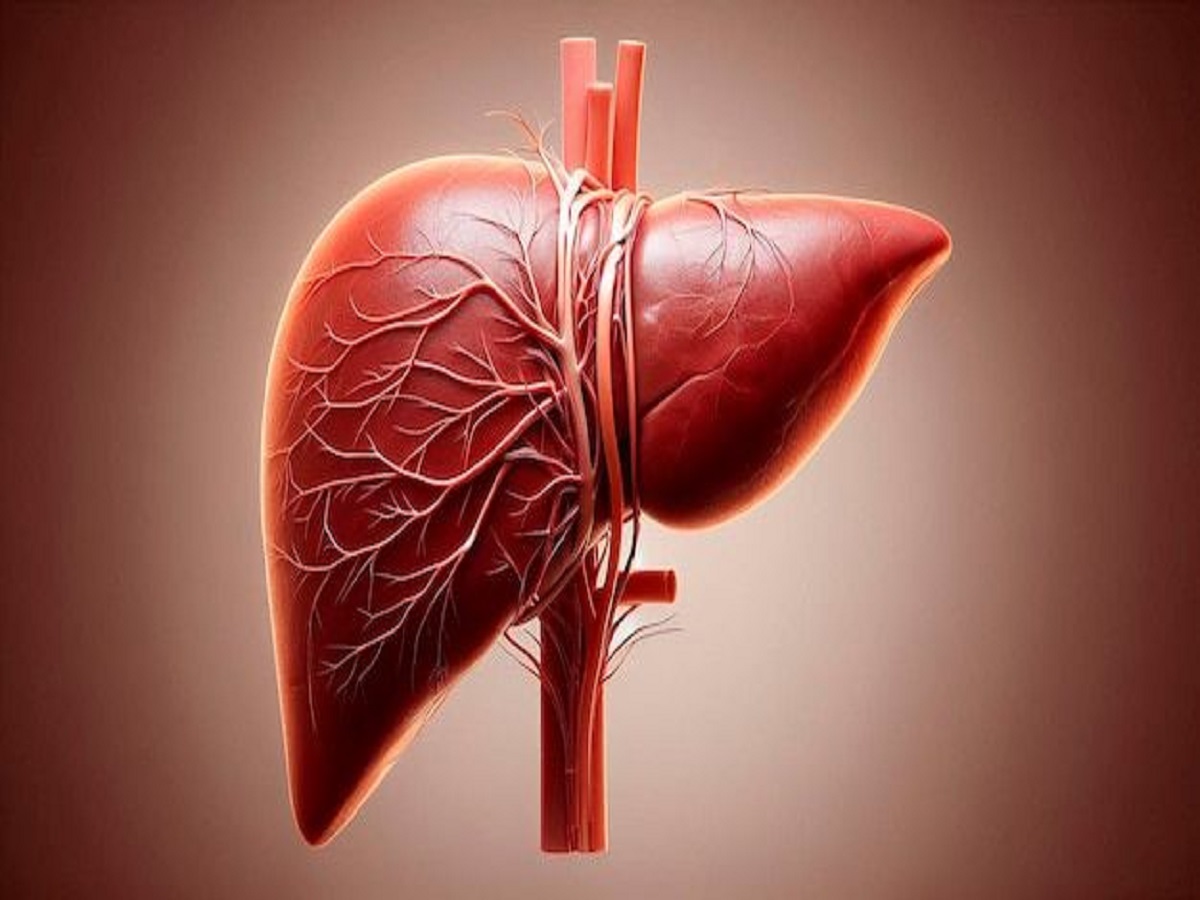 बिना दवा के पथरी से राहत! इस फल के बीज से होगा कमाल - Photo Gallery