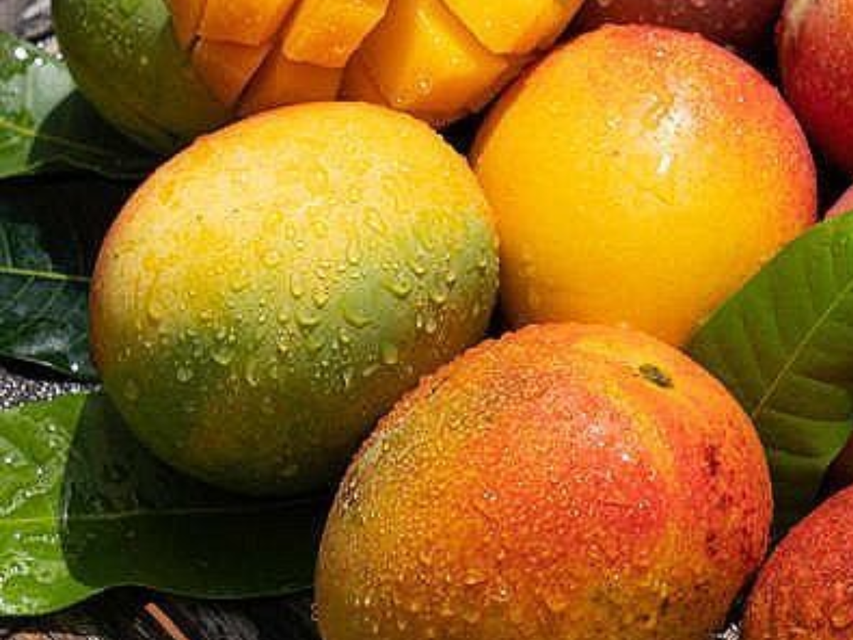 क्या आप भी करते है भगवान विष्णु की पूजा, तो खाने की इन पीली चीजों का सेवन करें - Photo Gallery