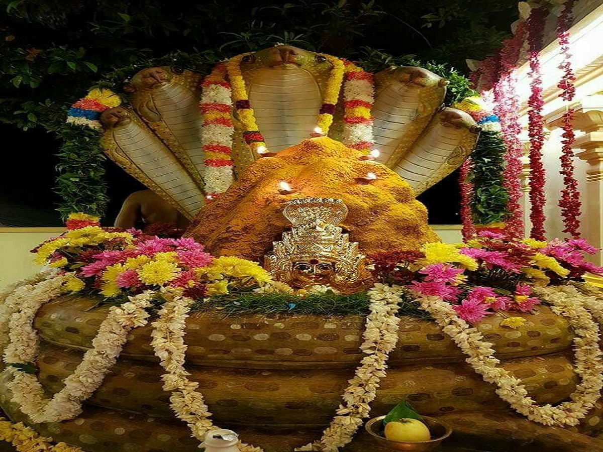 Nag Panchami 2025: नाग देवता को दूध चढ़ाने के पीछे की धार्मिक मान्यता, जो हर किसी को जाननी चाहिए - Photo Gallery