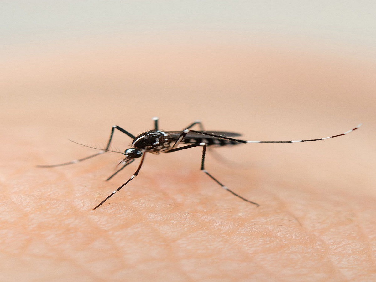 Sawan 2025: सावन के महीने में रखें इन बातों का ख्याल वरना आप हो सकते हैं बीमार - Photo Gallery