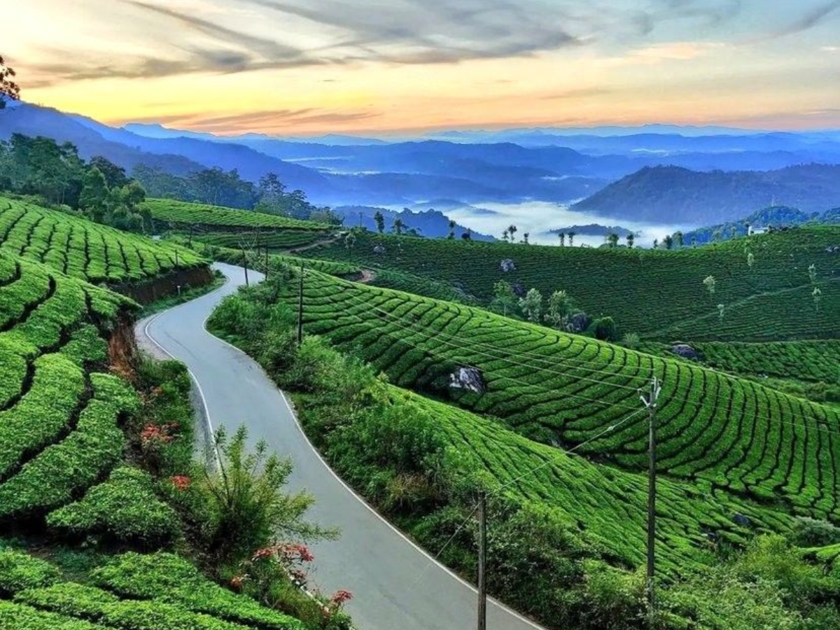 अगर आप भी है चाय या कॉफी के दीवाने तो जरूर जाए इन कुछ शानदार जगाहों पर - Photo Gallery